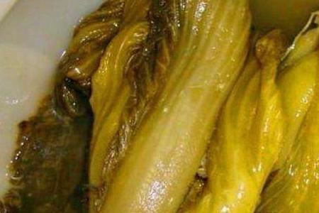 卷心黄菜最好种植时间