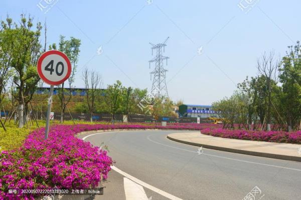 成都绕城高速公路绿化带有哪些