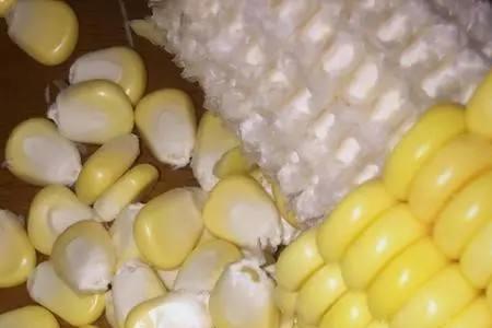 糖化玉米钓鱼效果