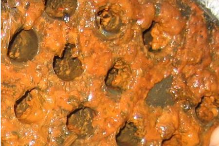 水垢是黄褐色，应如何解决