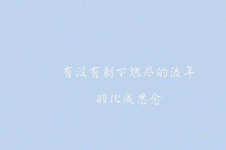 风的执念的意思