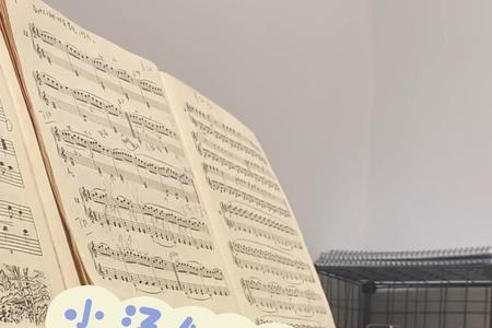 小汤和车尔尼哪个先学