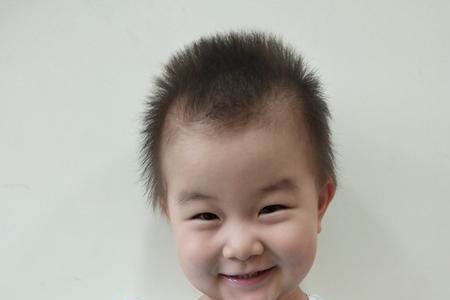 荷叶是小蝌蚪什么的什么