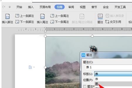 wps插入图片后怎么变浅