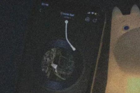 雾散了的文案是什么意思