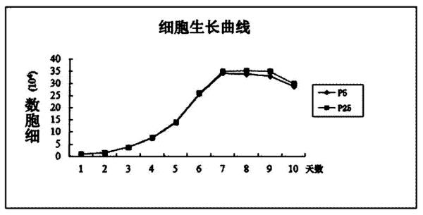 体细胞分化程度高低的标准