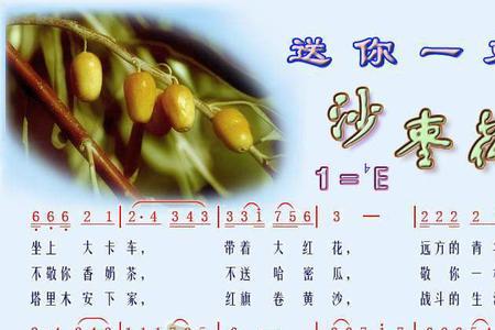 五月的沙枣花歌词是什么意思