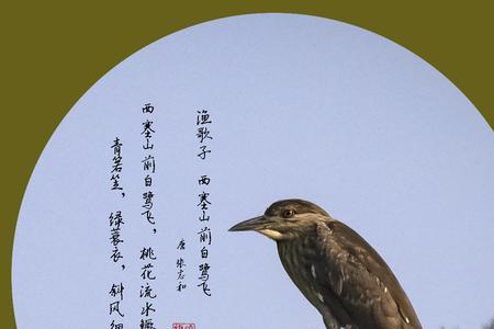 青蓑衣的诗句