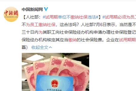 试用期没有社保补贴是什么意思