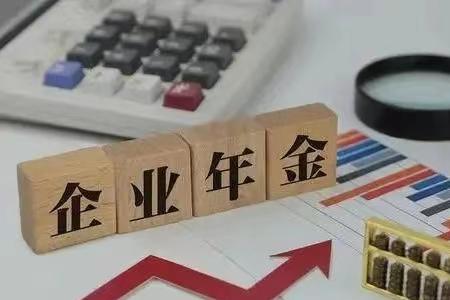 国网河南缴纳企业年金比例