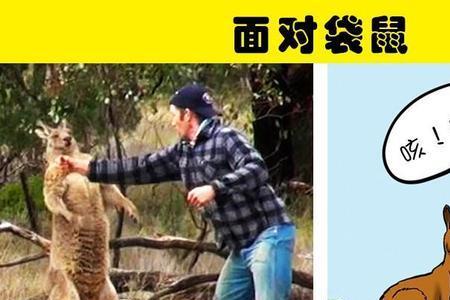 被野蜂袭击怎样逃生