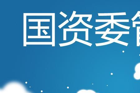 国资所是什么意思