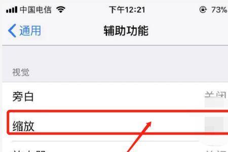 苹果13锁屏屏幕放大怎么缩小
