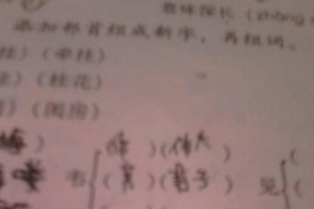 坐加什么偏旁，怎么组词