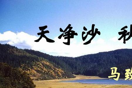 天净沙秋思描写了几种景物