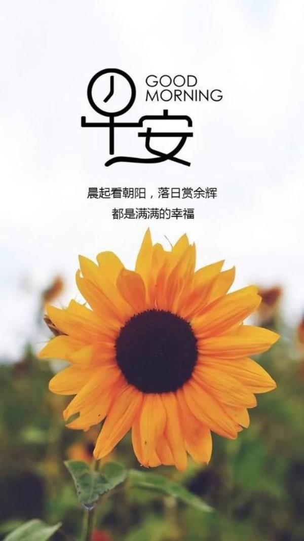 适合心情好发朋友圈的句子