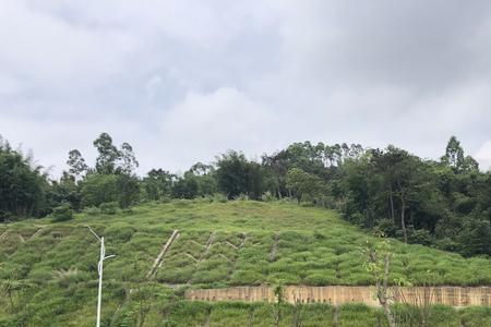 xc40b3智远豪华版颜色