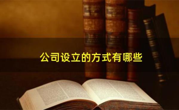 发起人是指什么
