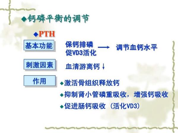 pth是什么意思医学类