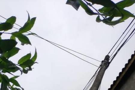 电线杆上电线绝缘皮里有几根线