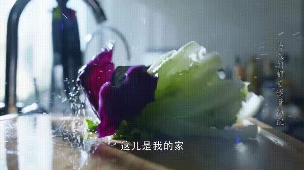 乔言顾烨霆的结局
