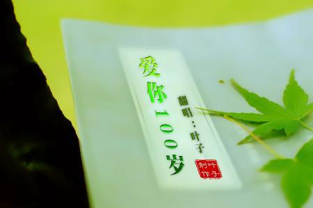 一百岁歌曲的含义