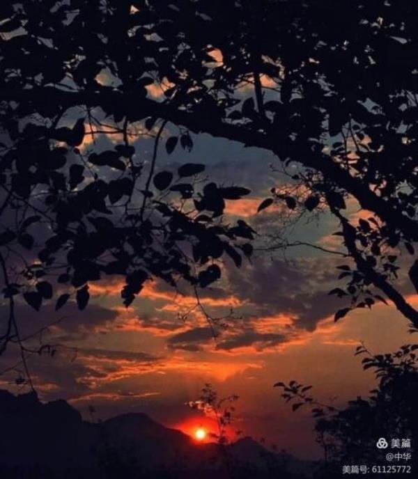 夕阳西下彩云归诗词