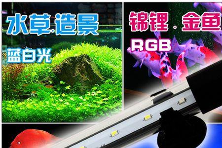鱼缸灯一天开多久