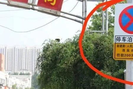 成都违停几分钟抓拍