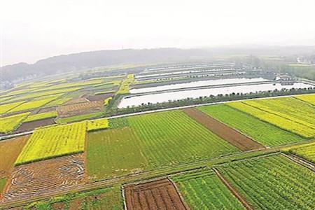 基本农田审批需要多久