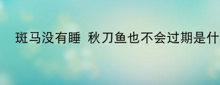 秋刀鱼歌词周杰伦