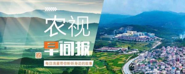 矢志三农什么意思