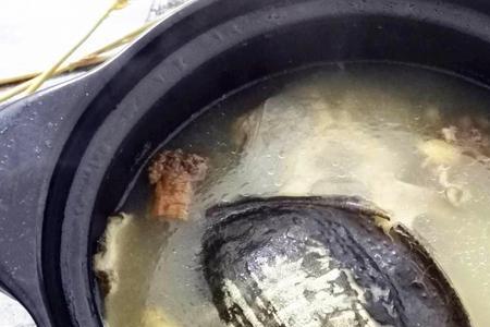 甲鱼炖几次最好