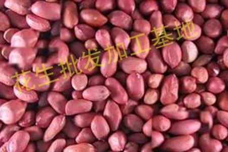 河南杠三花生种介绍