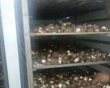 香菇烘干工艺流程