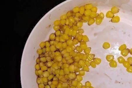 葡萄酒泡玉米钓鱼泡制法
