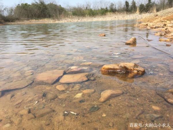 窝料装在网兜里效果好吗