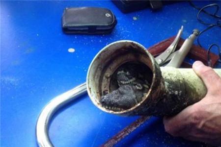 院子里的下水道堵了怎么办