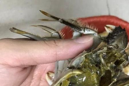 活螃蟹怎么死得快