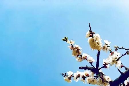 期待云开雾散春暖花开的意思