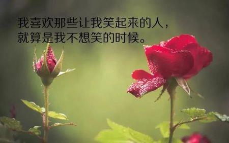 文绉绉的有深度的句子 夸人的