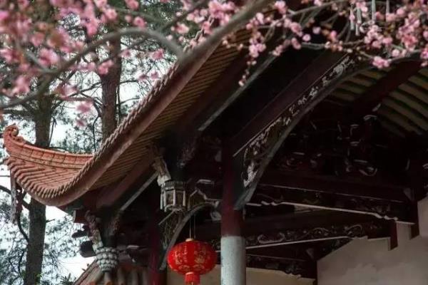 梅花门是什么门派
