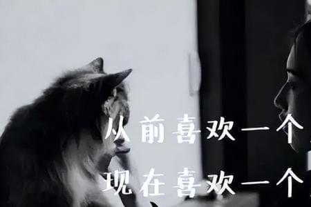 一个人太喜欢表现了的说说