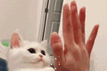 达成共识，是什么意思