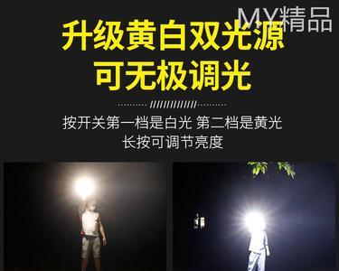 照应例子