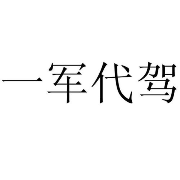 蚁军汽车服务有限公司怎么样