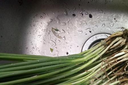 为什么买葱不买一棵