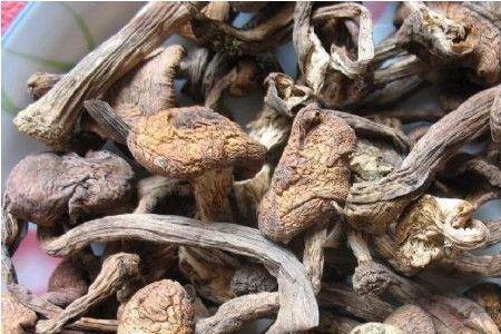 榛蘑泡一天一夜还可以吃吗