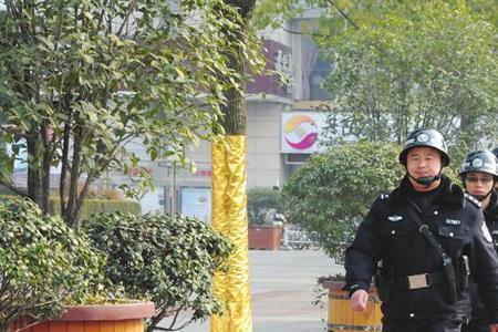 治安要素是什么意思
