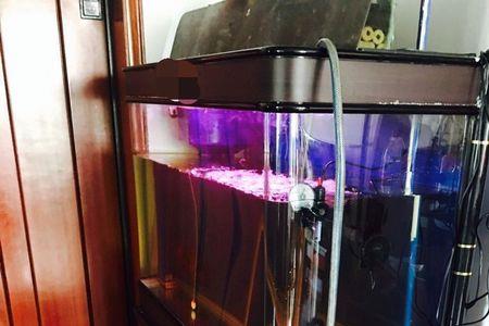 鱼缸一天换一次水行不行